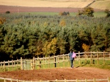 Tn IMG 1488